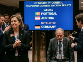 Lim Tean: Why standing on the wrong side of history cost Germany its UNSC seat Germany defeated in the UN Security Council vote
