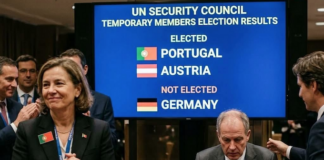Lim Tean: Why standing on the wrong side of history cost Germany its UNSC seat Germany defeated in the UN Security Council vote