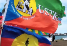 Four days before the Kanaky New Caledonia provincial elections, the pro-independence Kanak Workers and Exploited Workers' Union (USTKE) has announced its voting preferences in all three provinces