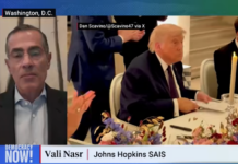 Iranian American international affairs professor Vali Nasr