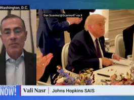 Iranian American international affairs professor Vali Nasr