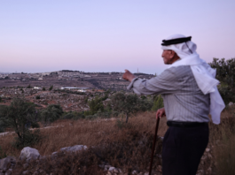 Olayan Olayan, who was born in the village of Battir in 1941, overlooks a valley in which a new Israeli settler outpost is built