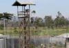 Dilapidated infrastructure blamed for fatal PNG prison escape attempt Three inmates, who scaled the fence at Baisu Prison, were shot dead