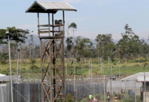 Dilapidated infrastructure blamed for fatal PNG prison escape attempt Three inmates, who scaled the fence at Baisu Prison, were shot dead