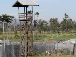 Three inmates, who scaled the fence at Baisu Prison, were shot dead