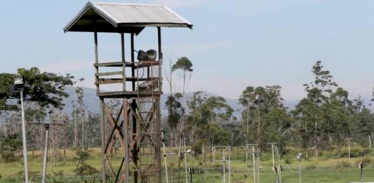 Three inmates, who scaled the fence at Baisu Prison, were shot dead