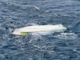 One of the capsized boats off the coast of PNG's East New Britain