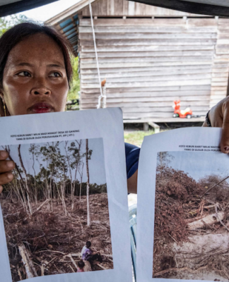 An Indigenous Dayak villager shows pictures of her rubber plantation destroyed