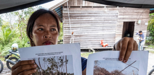 An Indigenous Dayak villager shows pictures of her rubber plantation destroyed