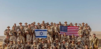 Caitlin Johnstone: De-normalise Israel We either collectively reject Israel, or we watch Western militaries fuse inseparably with the IDF