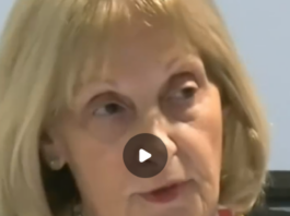 In her evidence before the Bondi Royal Commission, the antisemitism envoy Jillian Segel claimed