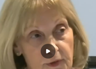 In her evidence before the Bondi Royal Commission, the antisemitism envoy Jillian Segel claimed