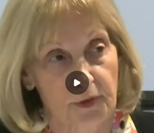 In her evidence before the Bondi Royal Commission, the antisemitism envoy Jillian Segel claimed