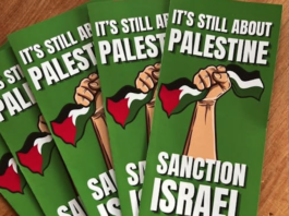 PSNA flyers supporting Palestine