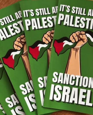 PSNA flyers supporting Palestine
