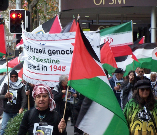 Iranian and Palestinian flags at a New Zealand rally against the war on Iran and the Gaza genocide