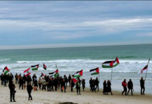 In Dunedin Ōtepoti yesterday . . . walking from St Kilda beach to St Clair beach, Palestine will be free