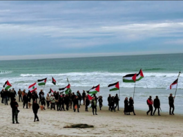 In Dunedin Ōtepoti yesterday . . . walking from St Kilda beach to St Clair beach, Palestine will be free