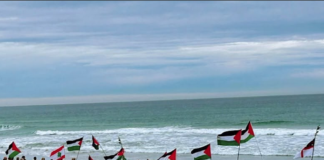 In Dunedin Ōtepoti yesterday . . . walking from St Kilda beach to St Clair beach, Palestine will be free