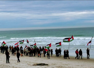 In Dunedin Ōtepoti yesterday . . . walking from St Kilda beach to St Clair beach, Palestine will be free