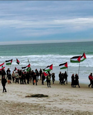 In Dunedin Ōtepoti yesterday . . . walking from St Kilda beach to St Clair beach, Palestine will be free