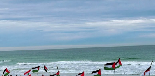 In Dunedin Ōtepoti yesterday . . . walking from St Kilda beach to St Clair beach, Palestine will be free