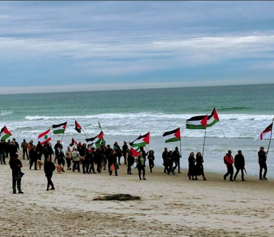 In Dunedin Ōtepoti yesterday . . . walking from St Kilda beach to St Clair beach, Palestine will be free