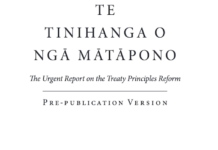 Te Tinihanga o Ngā Mātāpono o te Tiriti