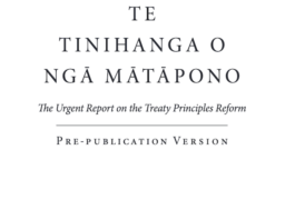Te Tinihanga o Ngā Mātāpono o te Tiriti
