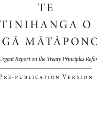 Te Tinihanga o Ngā Mātāpono o te Tiriti