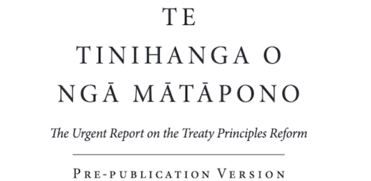 Te Tinihanga o Ngā Mātāpono o te Tiriti