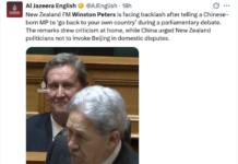 Slurs by NZ Foreign Minister Winston Peters makes the global news for Al Jazeera