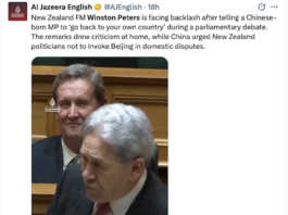 Slurs by NZ Foreign Minister Winston Peters makes the global news for Al Jazeera