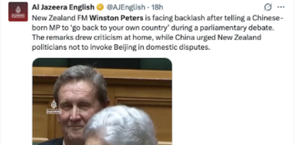 Slurs by NZ Foreign Minister Winston Peters makes the global news for Al Jazeera