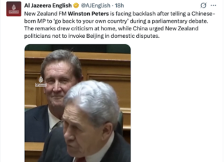 Slurs by NZ Foreign Minister Winston Peters makes the global news for Al Jazeera
