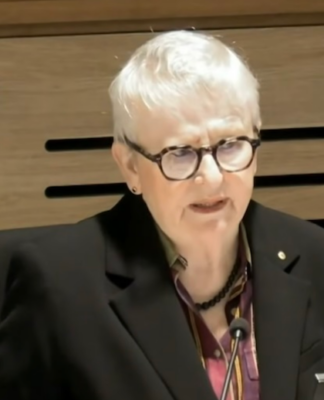 Bondi Royal Commission: A ‘slippery slope to eroding our freedoms’ Bondi Commissioner Virginia Bell