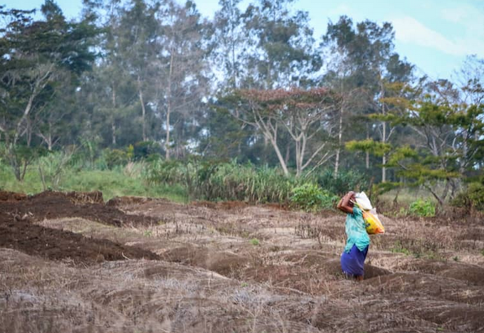 El Nino RNZ 680wide In late-June, PNG Prime Minister James Marape instructed all provinces