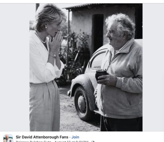 AI slop: "Imagine a world where a British royal princess and a former Uruguayan guerrilla fighter shared their deepest reflections on life