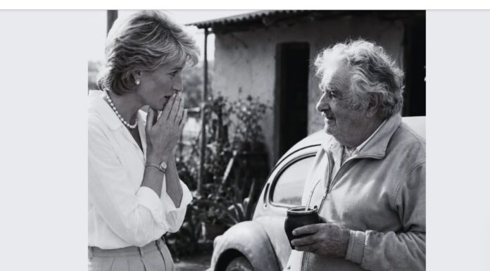 AI slop: "Imagine a world where a British royal princess and a former Uruguayan guerrilla fighter shared their deepest reflections on life