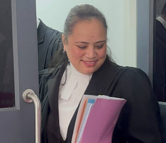 Lawyer Juleen Fatiaki, counsel for Charlie Charters