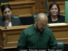 An image well illustrating the diversity of today’s Aotearoa New Zealand