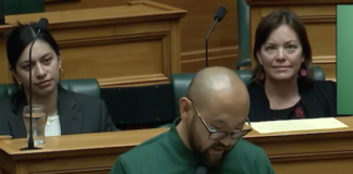 An image well illustrating the diversity of today’s Aotearoa New Zealand
