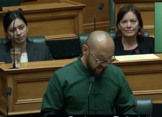 An image well illustrating the diversity of today’s Aotearoa New Zealand