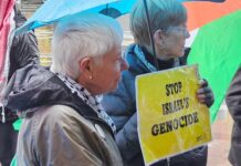 Shane Te Pou: Matua Pita Tipene, I wish you weren’t in Israel right now Peace movement historian Maire Leadbeater