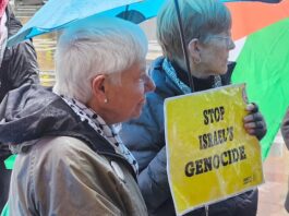 Peace movement historian Maire Leadbeater