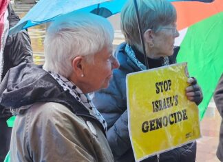 Shane te Pou: Matua Pita Tipene, I wish you weren’t in Israel right now Peace movement historian Maire Leadbeater