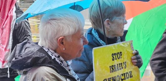 Shane te Pou: Matua Pita Tipene, I wish you weren’t in Israel right now Peace movement historian Maire Leadbeater