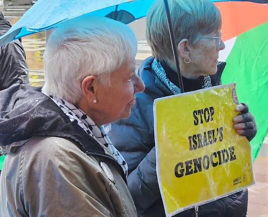 Peace movement historian Maire Leadbeater