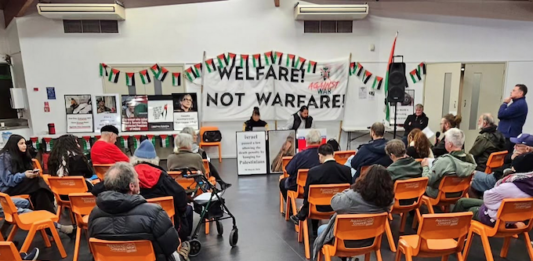 Pro-Palestine activists at a public meeting in Auckland last night planning for the New Zealand share of the Global March for Palestine