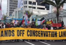Protesters march down Auckland's Queen St